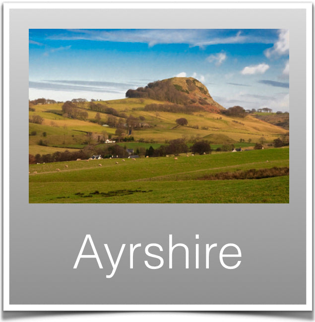 Ayrshire