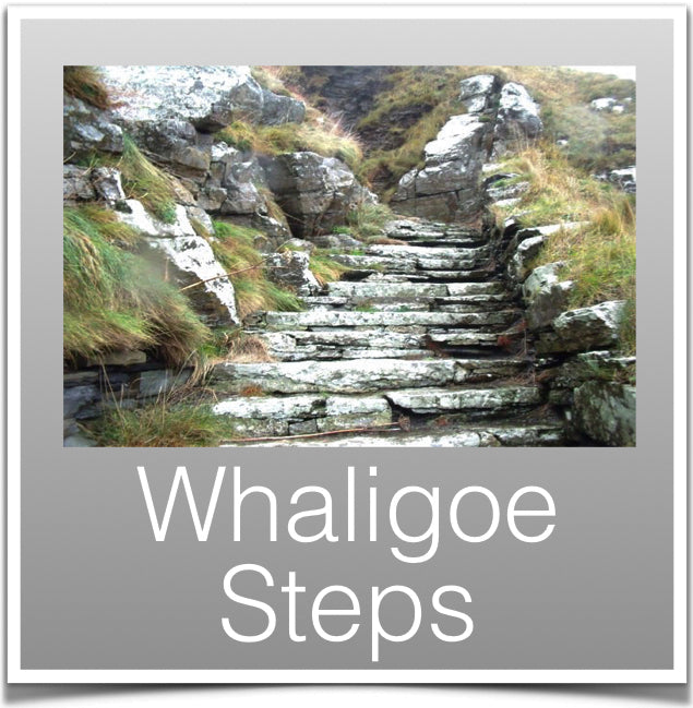 Whaligoe Steps