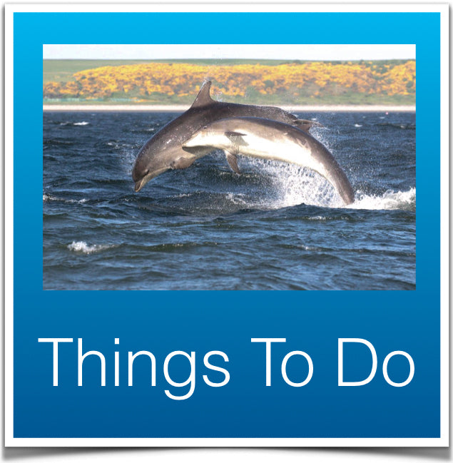 Things to do
