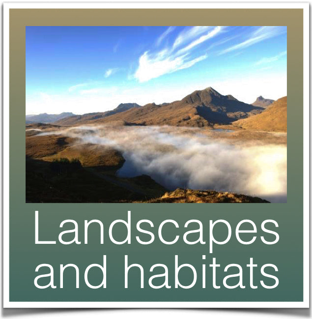 Landscapes and habitats