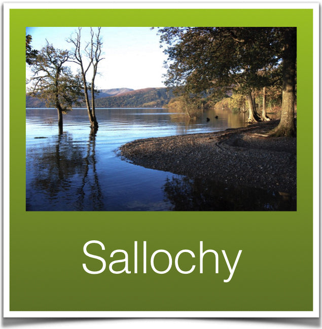 Sallochy