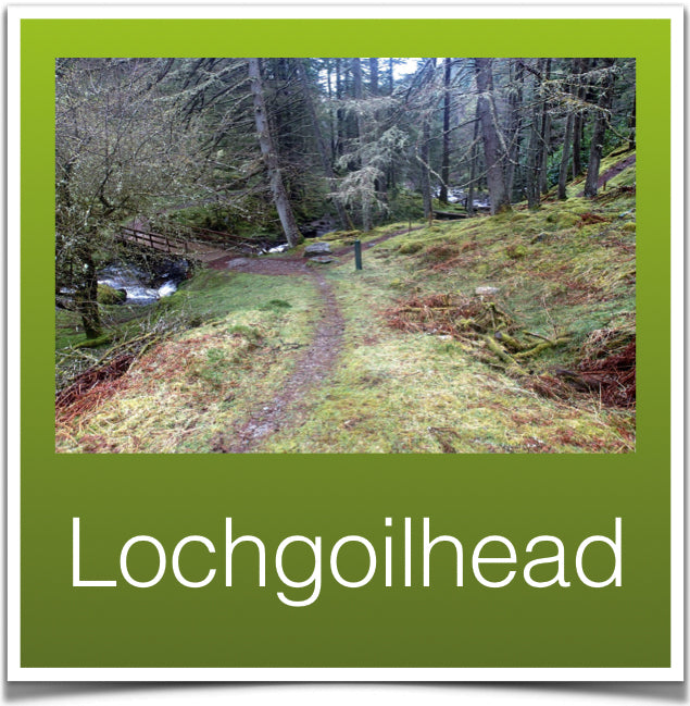 Lochgoilhead