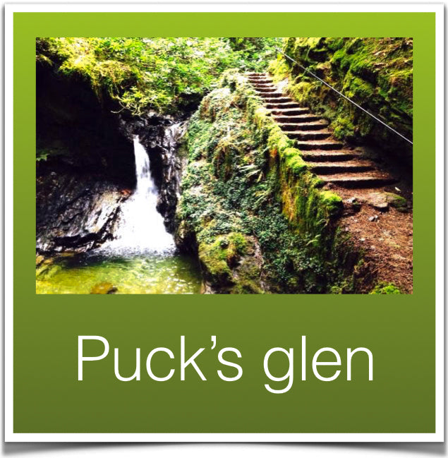 Puck's glen