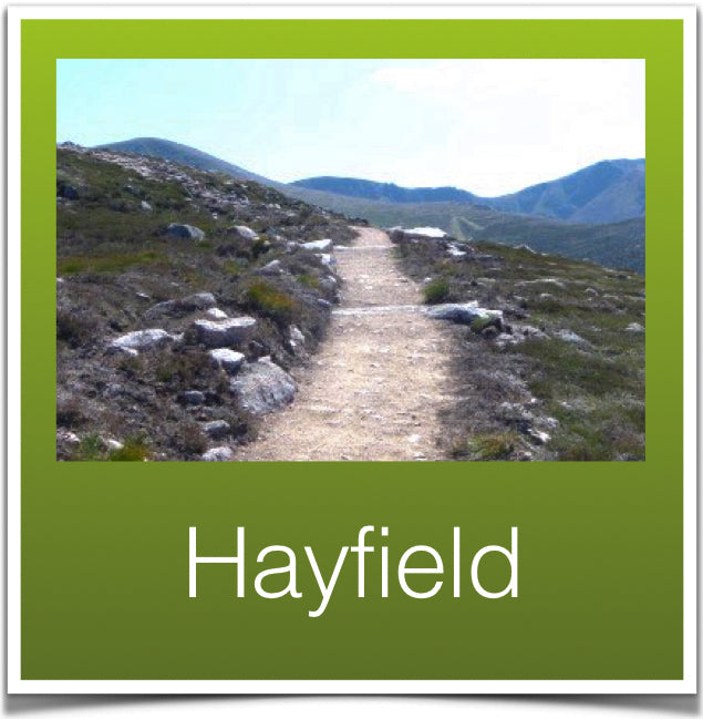 Hayfield