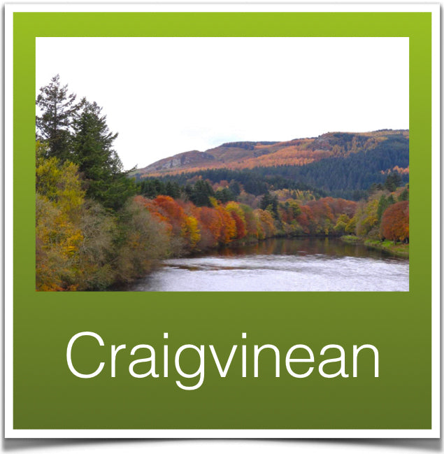 Craigvinean