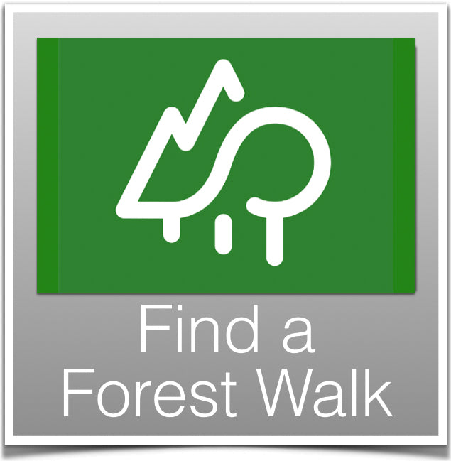 Find a Forest Walk