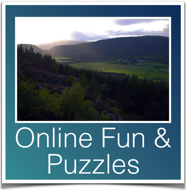Online Fun & Puzzles