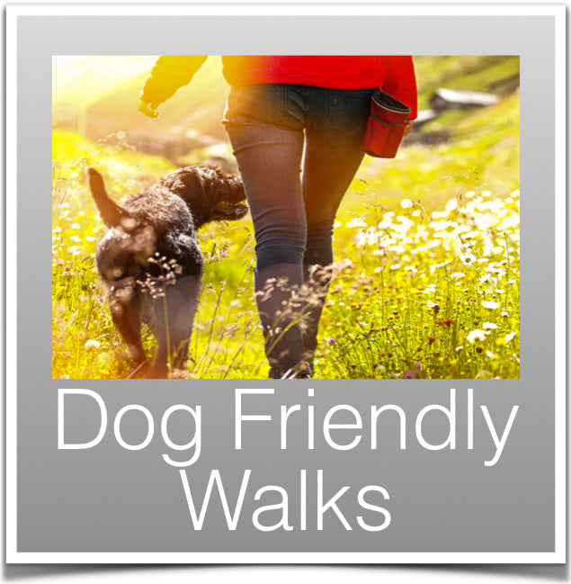 Dog Friendly Walks