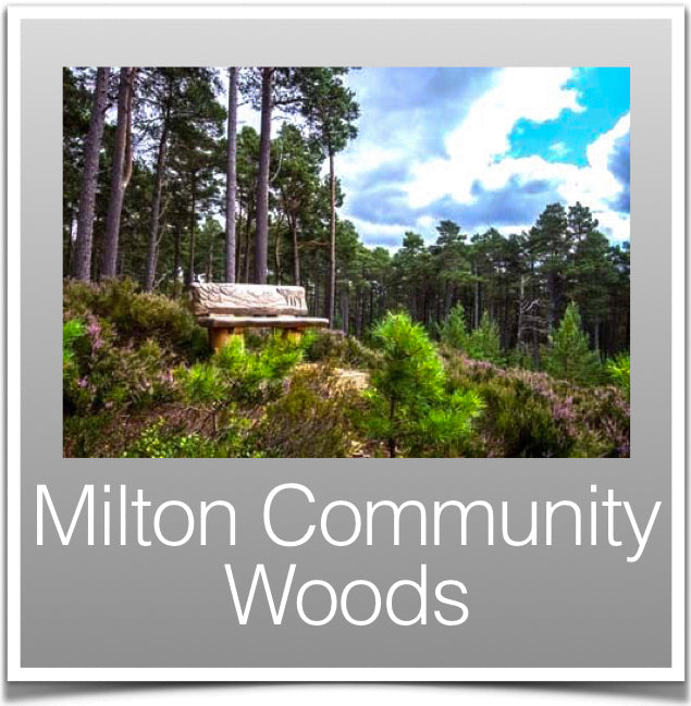 Milton Cummunity Woods