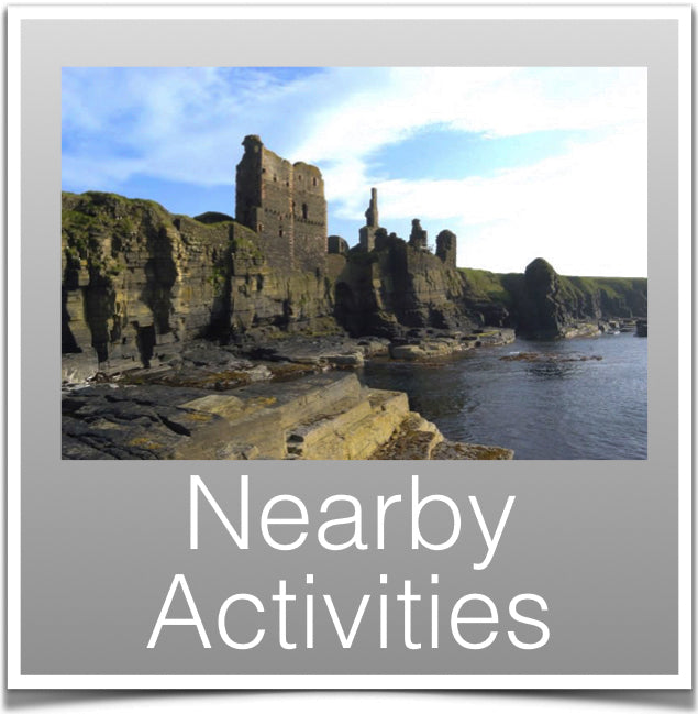 Nearby Activities