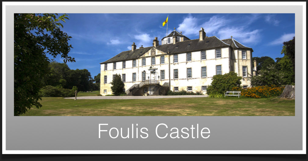 Foulis Castle image