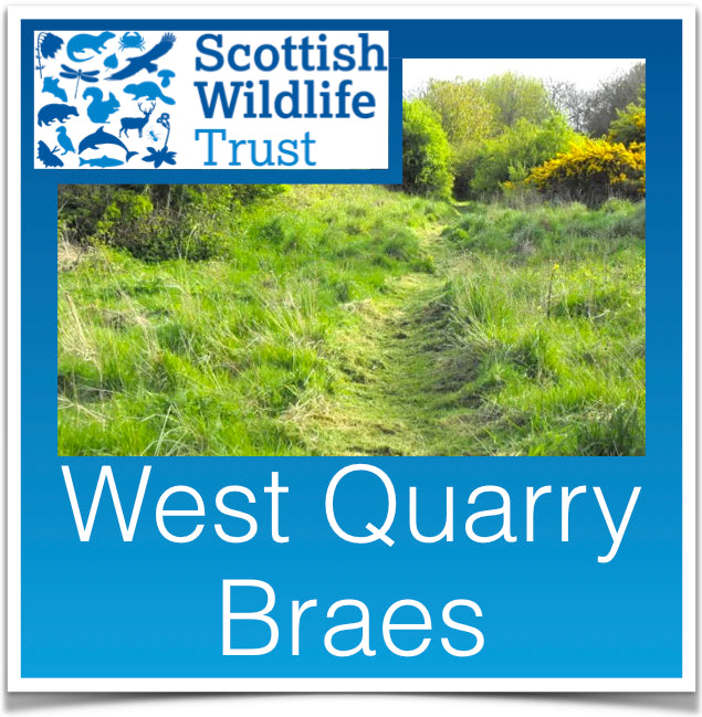 West Quarry Braes