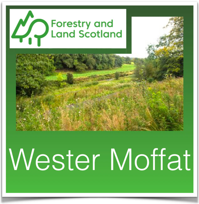 Wester Moffat