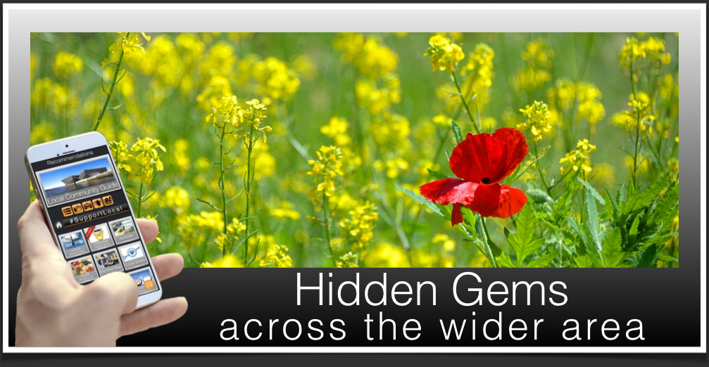 Hidden Gems Across the Area