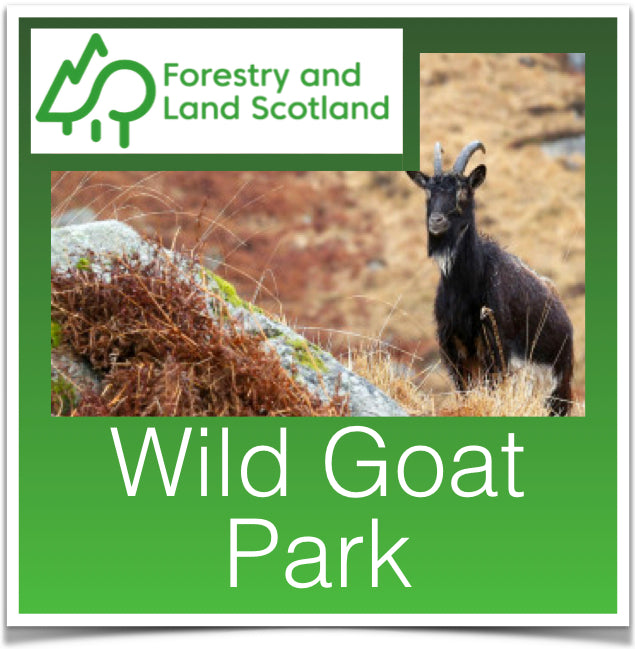 Wild Goat Park