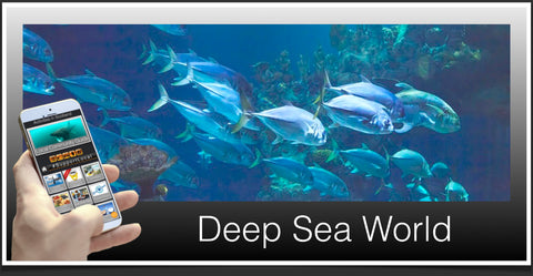 Deep Sea World image
