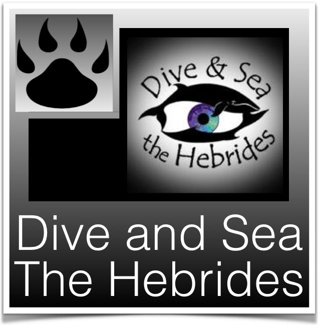 Dive and Sea The Hebrides