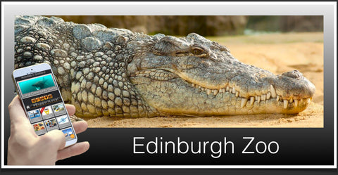 Edinburgh zoo image