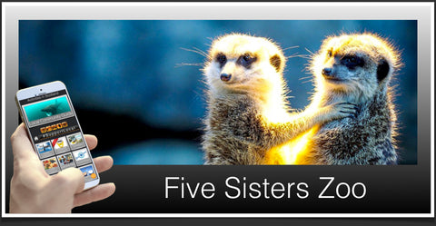 Five Sisters Zoo image