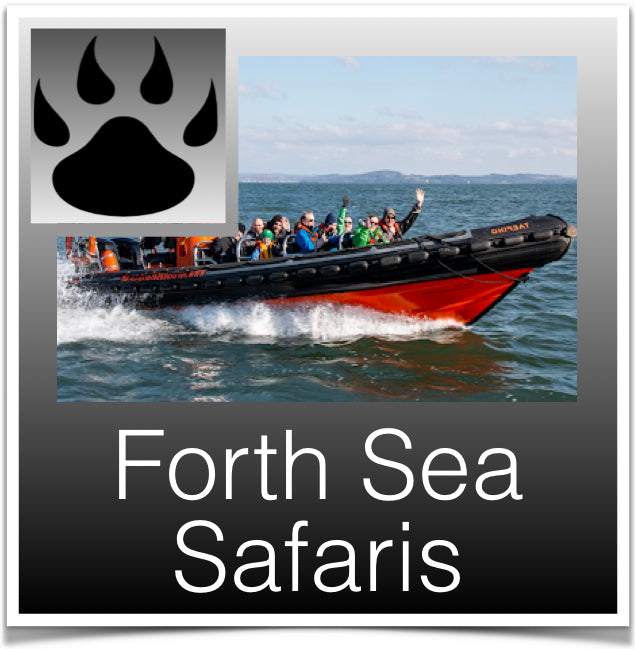 Forth Sea Safaris