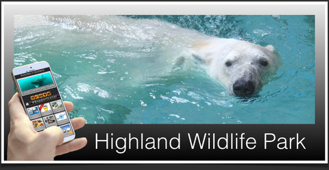 Highland Wildlife Park image