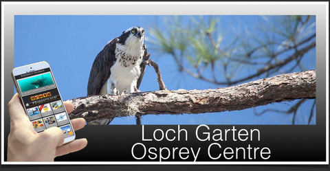 Osprey Centre image