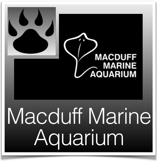 Macduff Marine Aquarium