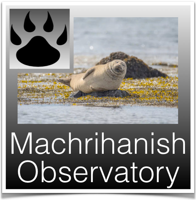 Machrahanish Observatory