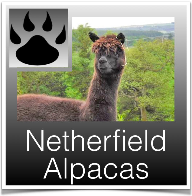 Netherfield Alpacas