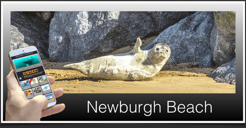 Newburgh Beach image