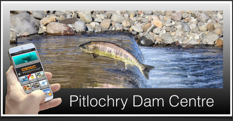 Pitlochry Dam image