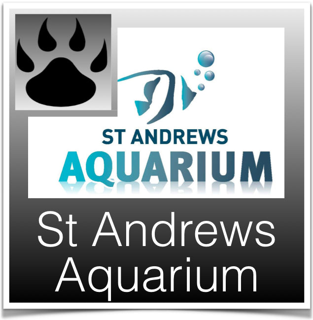 St andrews aquarium