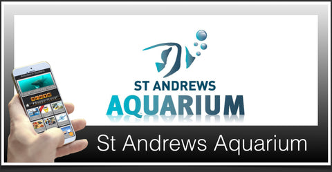 St Andrews Aquarium image