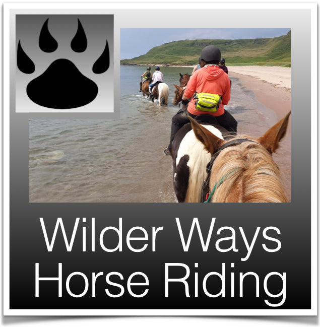 Wilder Ways Horse Riding