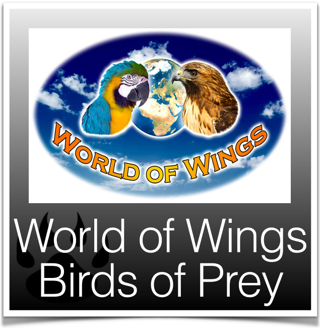 World of Wings