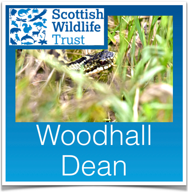 Woodhall Dean