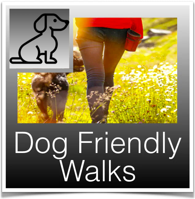 Dog friendly Walks