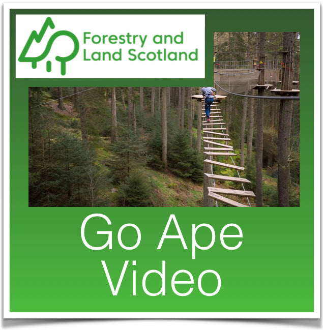 Go Ape