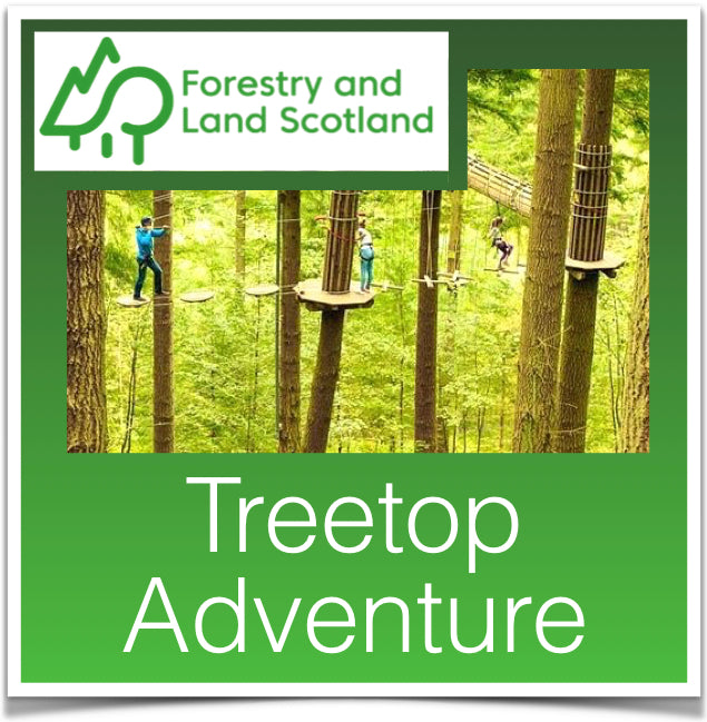 Treetop Adventure