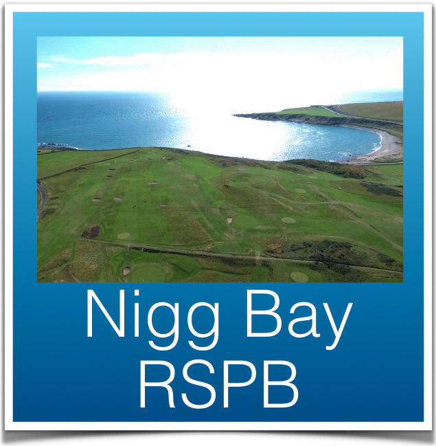 Nigg Bay