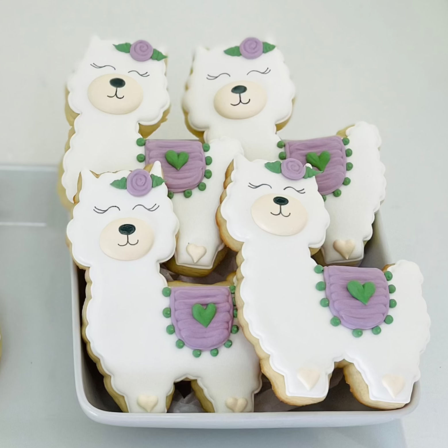 COOKIES - Llama (XL cookie)