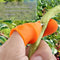 Finger Knife & Finger Covers , Rubber Thumb Knife , Pinching cutter , finger Pinching Knife for Kitchen and Garden , Quick Vegetable Plant cutting tool ,Garlic Peeler for Kitchen Finger- Thumb Cutter with Stainless Steel Blade
