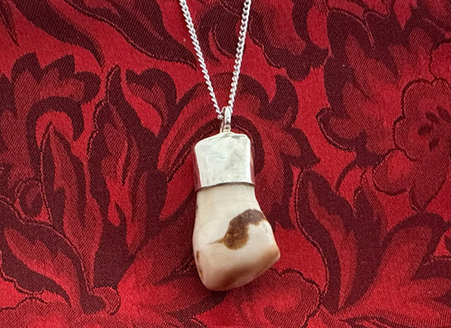 Elk Tooth Ivory Pendant (No. 1)