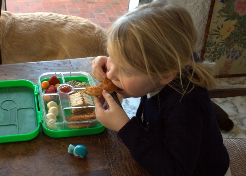 Toddler-Sized Lunches For My Little One!