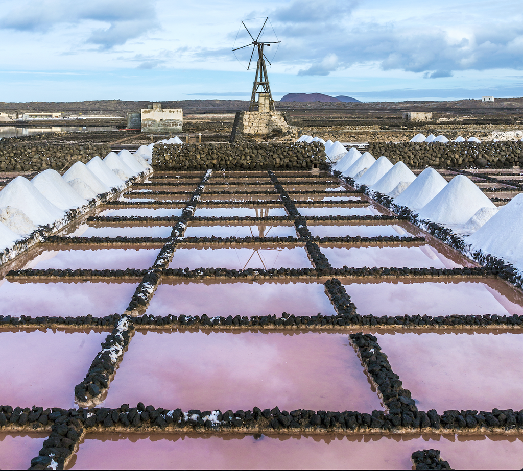 Sal de Flor - die Salzgärten Andalusiens