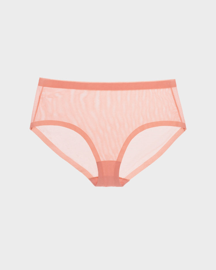 Coral Pink Mesh Brief Panties For Women // Seamless Underwear // EBY™