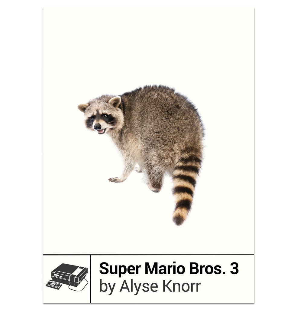 Super Mario Bros 3 Raccoon Mario Tail Attack Jigsaw Puzzle by