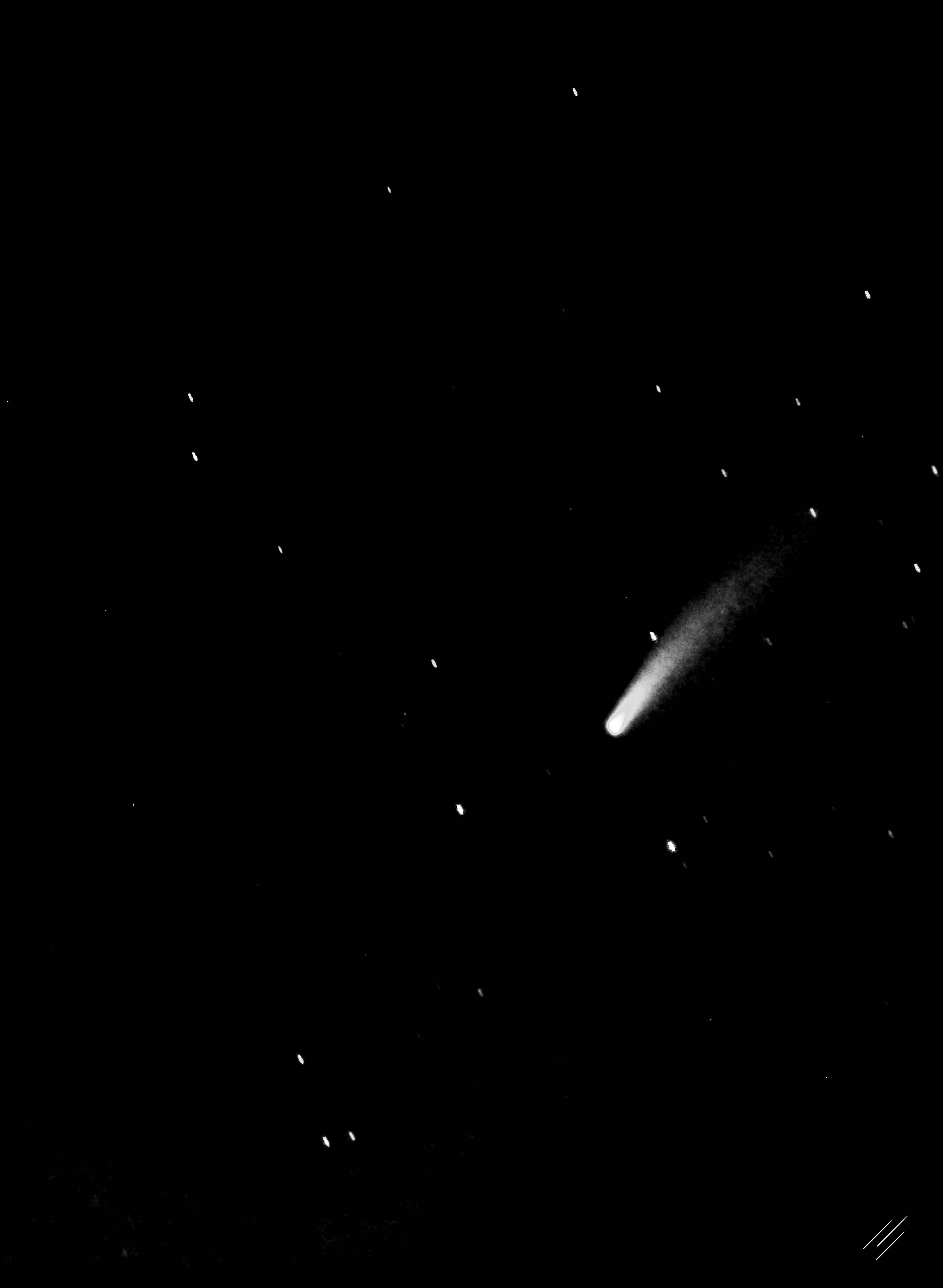 Comet Neowise