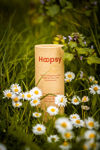 Hoopsy The Midstream Eco Pregnancy Test