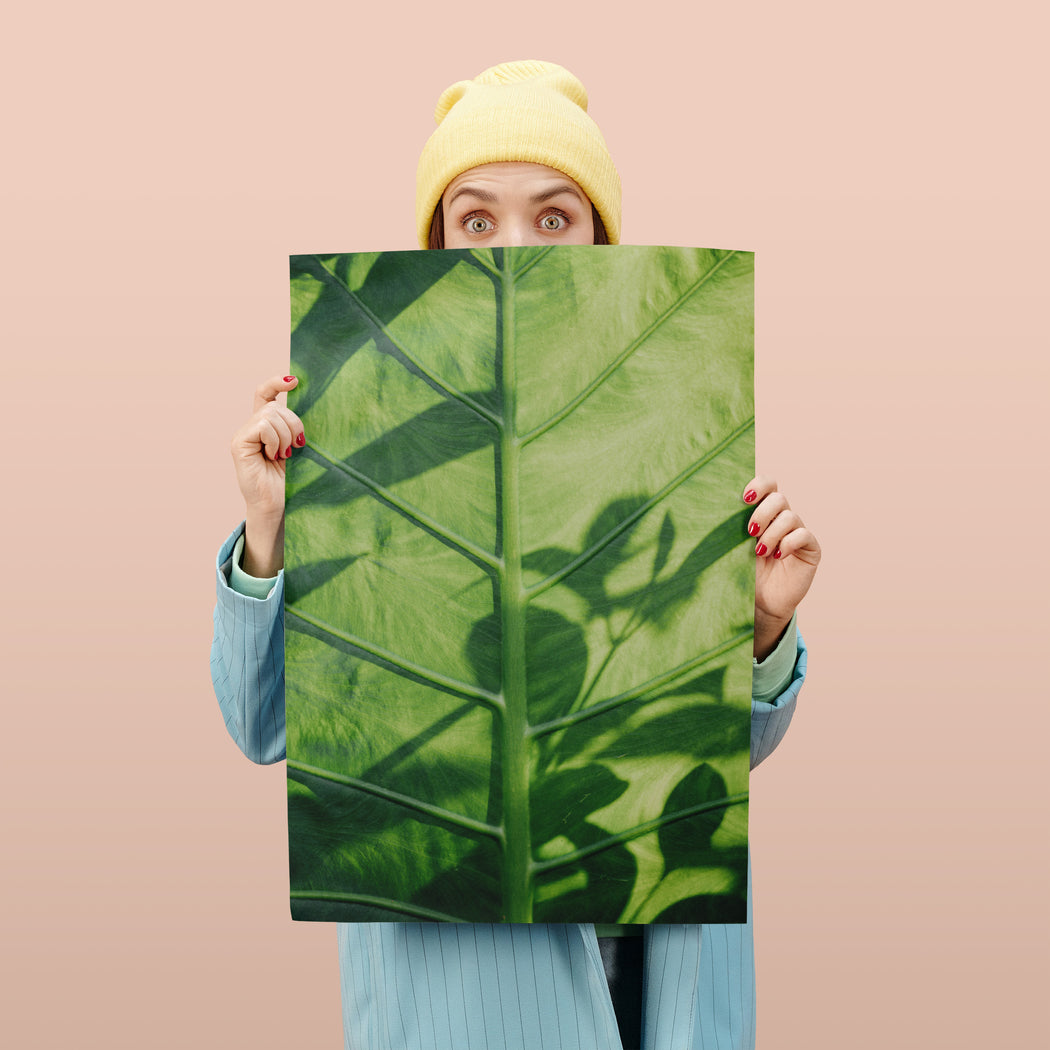 Green Colocasia Esculenta Leaf Photo Poster — HypeSheriff US
